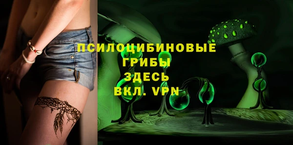 МДПВ Новодвинск