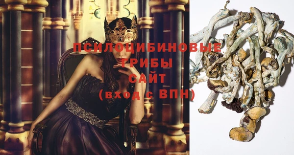 МДПВ Новодвинск