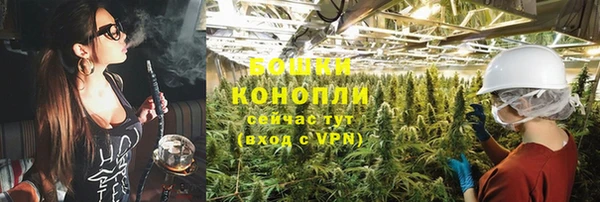 PSILOCYBIN Нефтегорск