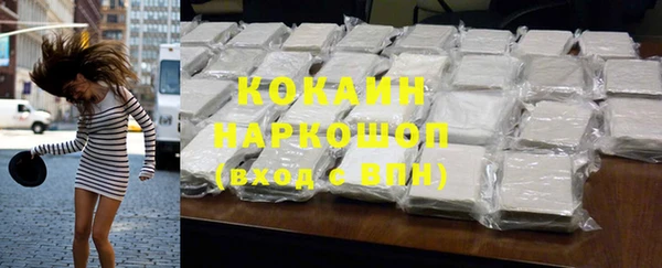МДПВ Новозыбков