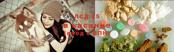МДПВ Новозыбков