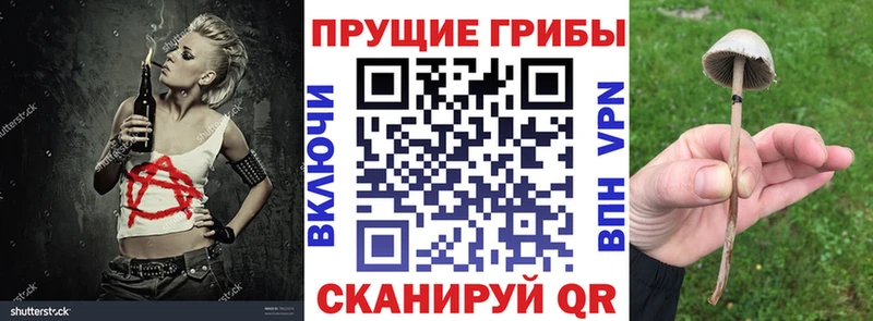 магазин продажи   Красноперекопск  KRAKEN как зайти  Галлюциногенные грибы прущие грибы 