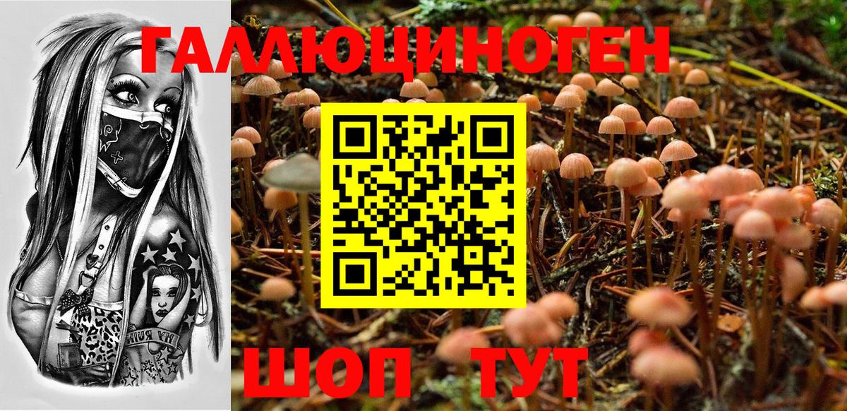 Псилоцибиновые грибы Magic Shrooms Красноперекопск