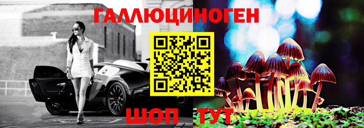 Галлюциногенные грибы Psilocybe  Вход с VPN  Красноперекопск 